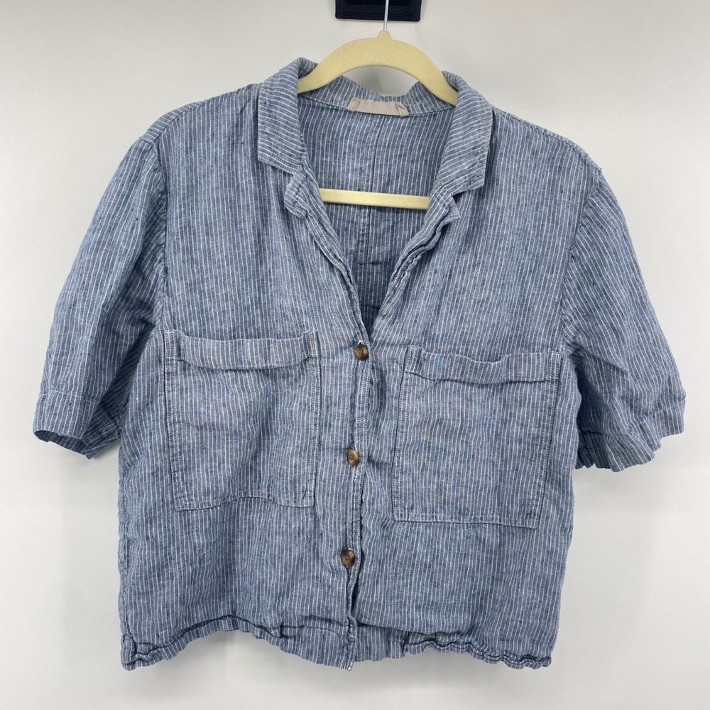 Everlane Blue Striped Button-Down Shirt